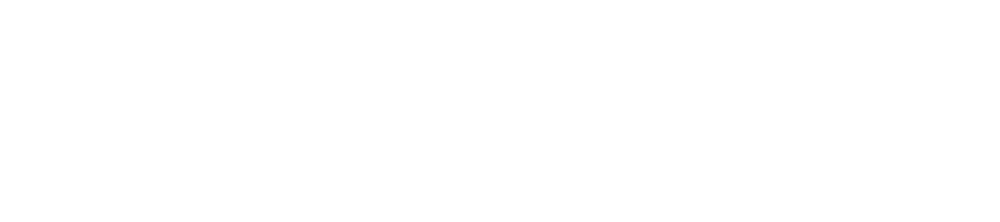 leanix-logo-web-white
